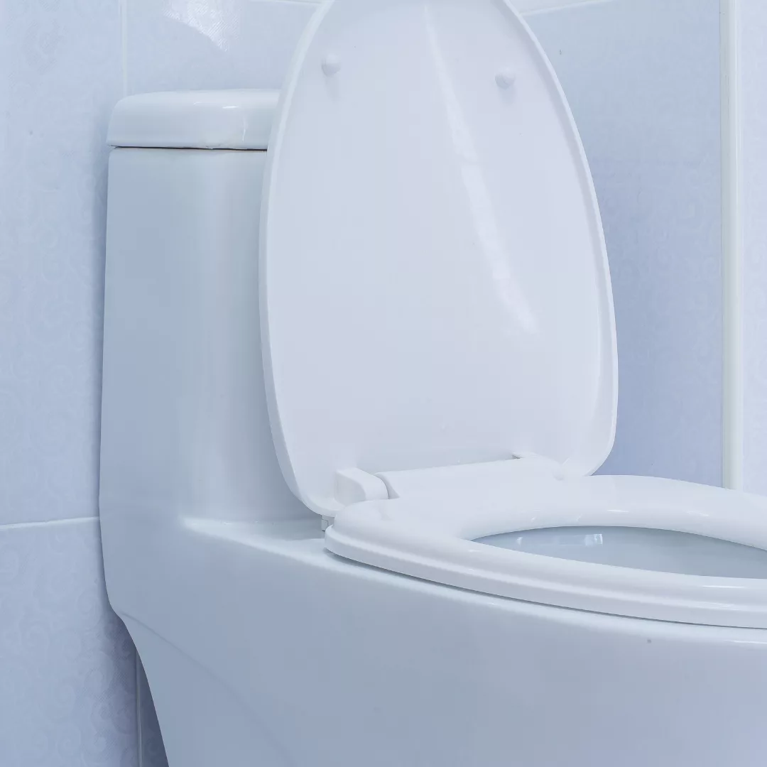 Read more about the article The Benefits of Installing High-Efficiency Power-Assist Toilets