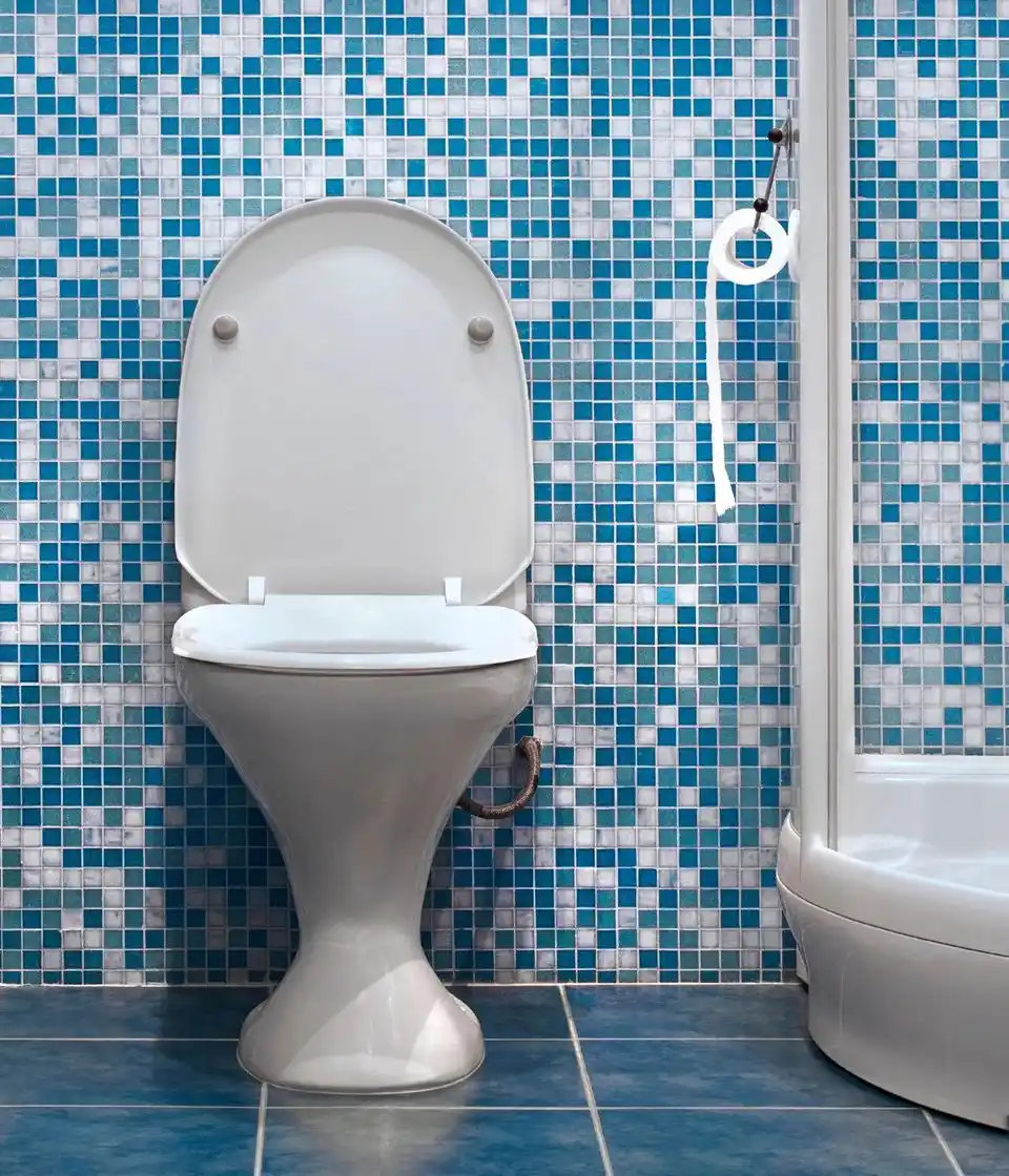 Toilet with the lid up